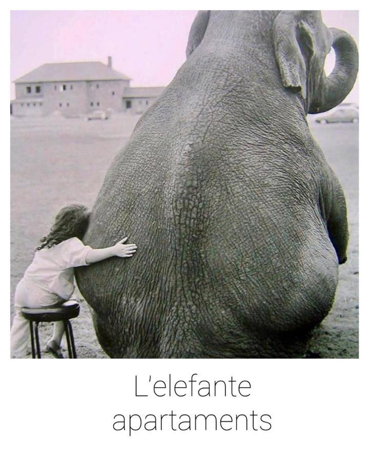 Elefante Appartamenti Pescara Extérieur photo